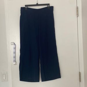 Madewell pants. Elastic waist. Blue.
